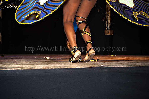 Bill Mortley_2015 Carnival Queen Show _July 4th_2015-6184