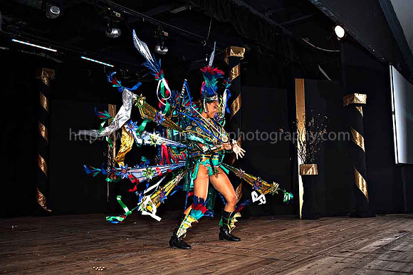 Bill Mortley_2015 Carnival Queen Show _July 4th_2015-6215