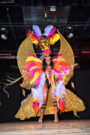 Bill Mortley_2015 Carnival Queen Show _July 4th_2015-6088