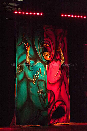 Bill Mortley_2015 Carnival Queen Show _July 4th_2015-6366