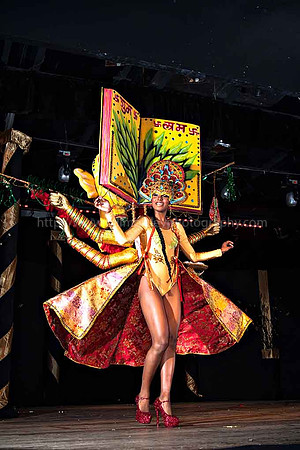 Bill Mortley_2015 Carnival Queen Show _July 4th_2015-6155