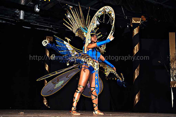 Bill Mortley_2015 Carnival Queen Show _July 4th_2015-6165