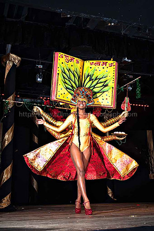 Bill Mortley_2015 Carnival Queen Show _July 4th_2015-6154