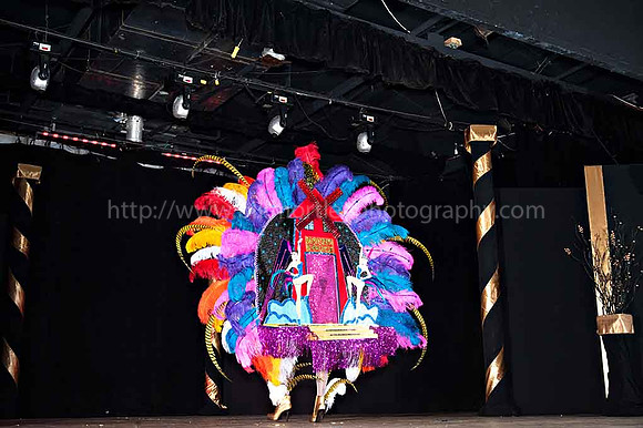Bill Mortley_2015 Carnival Queen Show _July 4th_2015-6116