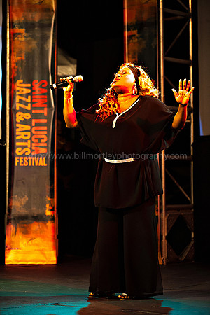 Bill Mortley_2015 Jazz Launch_February 5th_2015-2034