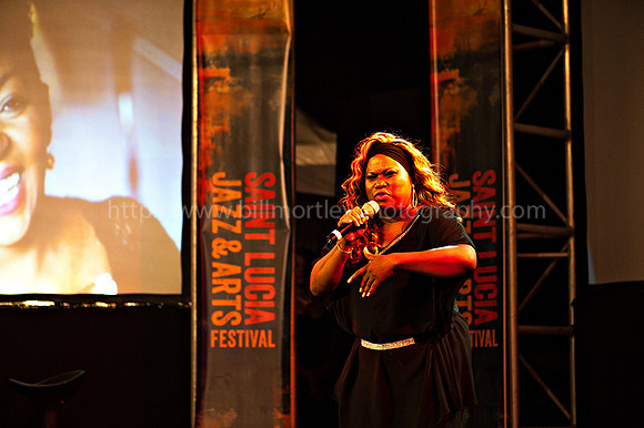 Bill Mortley_2015 Jazz Launch_February 5th_2015-2031