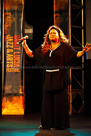 Bill Mortley_2015 Jazz Launch_February 5th_2015-2035
