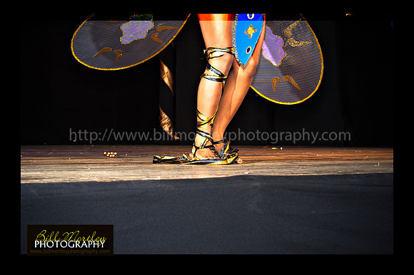 Bill Mortley_2015 Carnival Queen Show _July 4th_2015-6185