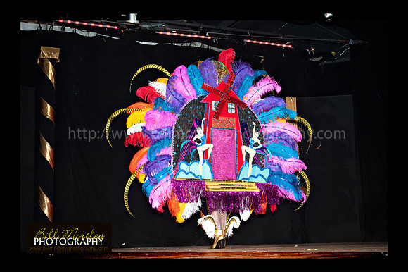 Bill Mortley_2015 Carnival Queen Show _July 4th_2015-6118