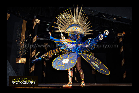 Bill Mortley_2015 Carnival Queen Show _July 4th_2015-6173