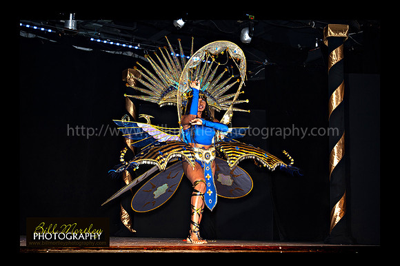 Bill Mortley_2015 Carnival Queen Show _July 4th_2015-6178