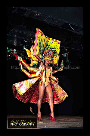 Bill Mortley_2015 Carnival Queen Show _July 4th_2015-6150