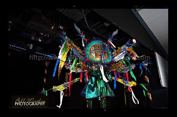 Bill Mortley_2015 Carnival Queen Show _July 4th_2015-6204