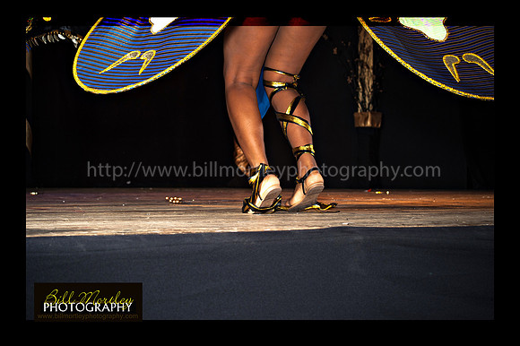 Bill Mortley_2015 Carnival Queen Show _July 4th_2015-6184