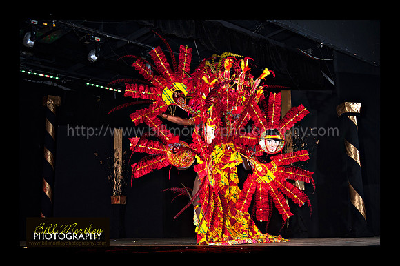 Bill Mortley_2015 Carnival Queen Show _July 4th_2015-6132