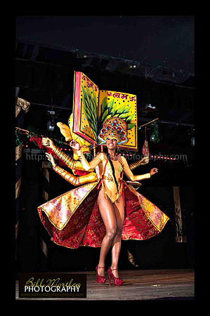 Bill Mortley_2015 Carnival Queen Show _July 4th_2015-6155