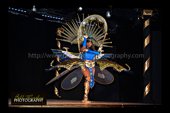 Bill Mortley_2015 Carnival Queen Show _July 4th_2015-6179