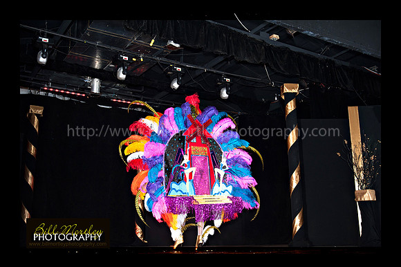 Bill Mortley_2015 Carnival Queen Show _July 4th_2015-6116
