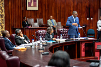 Bill Mortley_The Senate 15.11.2016-0549