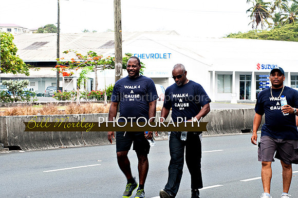Bill Mortley_Walk 4 a Cause 2014 _June 1st, 2014,-0944