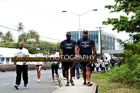 Bill Mortley_Walk 4 a Cause 2014 _June 1st, 2014,-0970