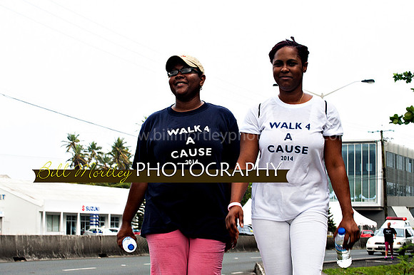 Bill Mortley_Walk 4 a Cause 2014 _June 1st, 2014,-1056