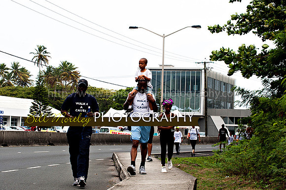 Bill Mortley_Walk 4 a Cause 2014 _June 1st, 2014,-1000