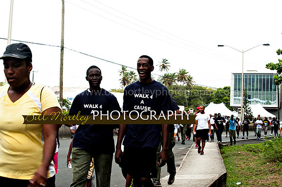 Bill Mortley_Walk 4 a Cause 2014 _June 1st, 2014,-0912