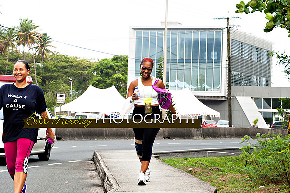 Bill Mortley_Walk 4 a Cause 2014 _June 1st, 2014,-1061