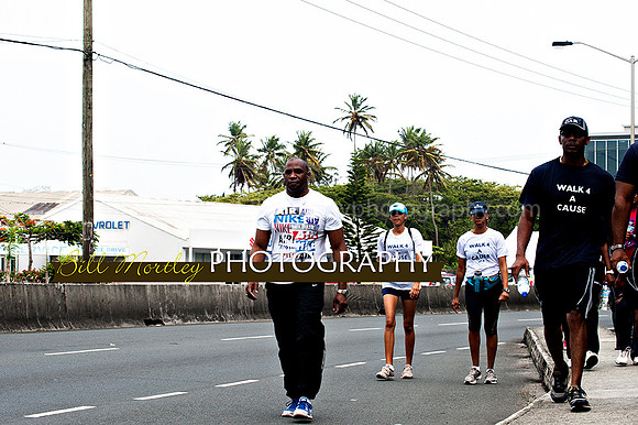 Bill Mortley_Walk 4 a Cause 2014 _June 1st, 2014,-0971