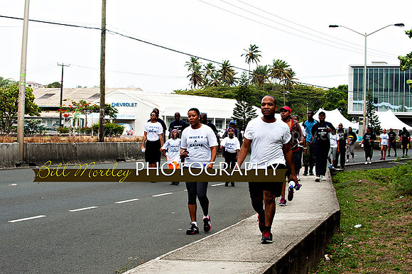 Bill Mortley_Walk 4 a Cause 2014 _June 1st, 2014,-0917