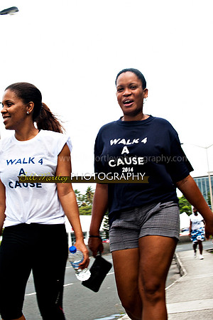 Bill Mortley_Walk 4 a Cause 2014 _June 1st, 2014,-1022