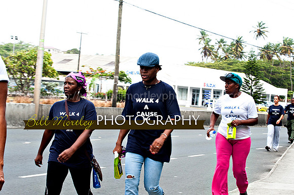 Bill Mortley_Walk 4 a Cause 2014 _June 1st, 2014,-0950