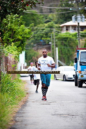 Bill Mortley_Walk 4 a Cause 2014 _June 1st, 2014,-1080