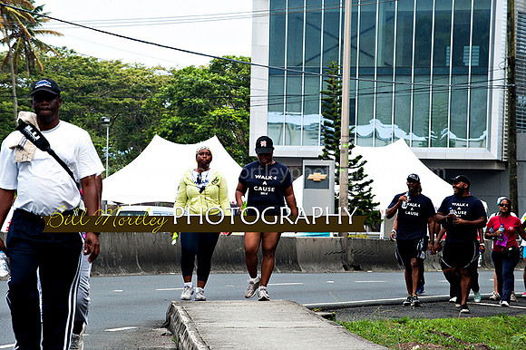 Bill Mortley_Walk 4 a Cause 2014 _June 1st, 2014,-0962