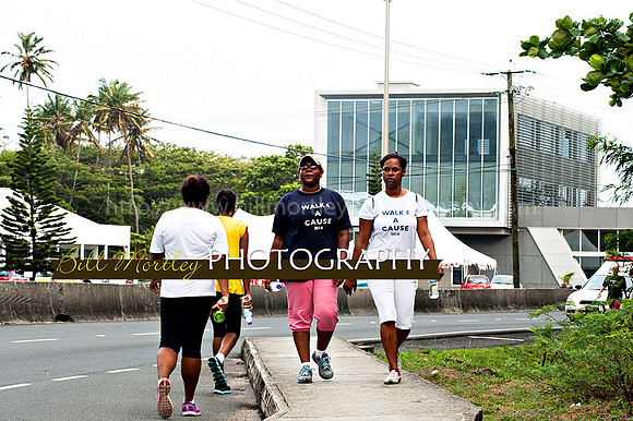 Bill Mortley_Walk 4 a Cause 2014 _June 1st, 2014,-1052