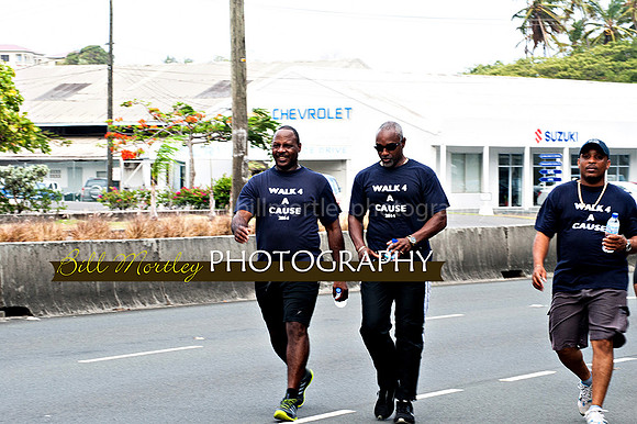 Bill Mortley_Walk 4 a Cause 2014 _June 1st, 2014,-0943