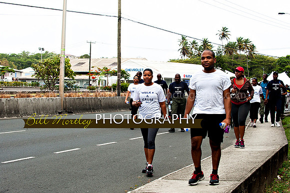 Bill Mortley_Walk 4 a Cause 2014 _June 1st, 2014,-0918