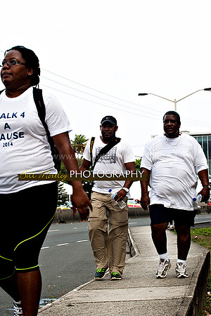 Bill Mortley_Walk 4 a Cause 2014 _June 1st, 2014,-1038