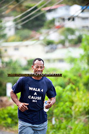 Bill Mortley_Walk 4 a Cause 2014 _June 1st, 2014,-1099