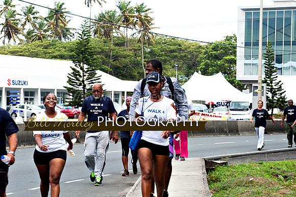 Bill Mortley_Walk 4 a Cause 2014 _June 1st, 2014,-0945