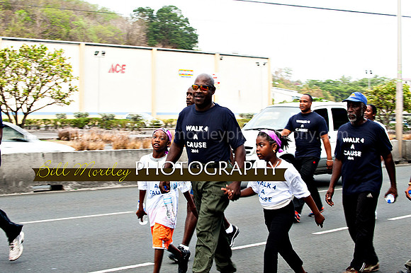 Bill Mortley_Walk 4 a Cause 2014 _June 1st, 2014,-0924