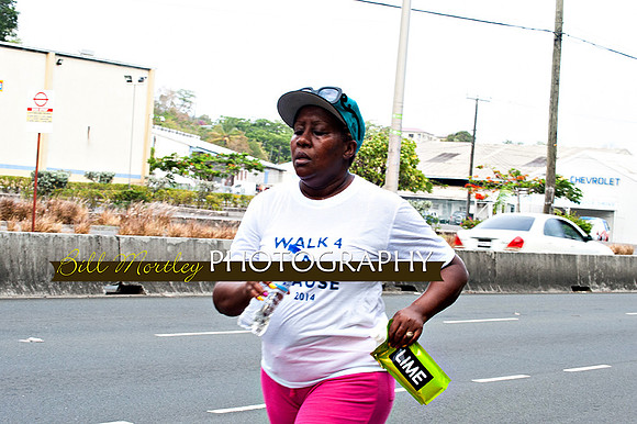 Bill Mortley_Walk 4 a Cause 2014 _June 1st, 2014,-0953