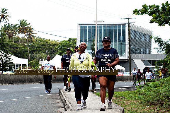 Bill Mortley_Walk 4 a Cause 2014 _June 1st, 2014,-0967