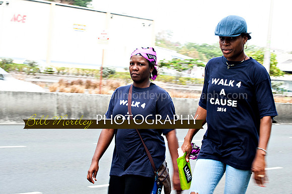 Bill Mortley_Walk 4 a Cause 2014 _June 1st, 2014,-0952