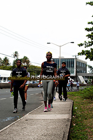 Bill Mortley_Walk 4 a Cause 2014 _June 1st, 2014,-0985