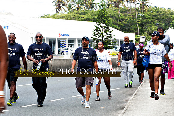 Bill Mortley_Walk 4 a Cause 2014 _June 1st, 2014,-0942