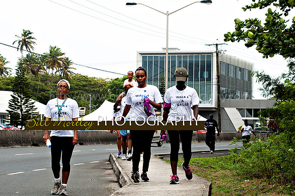 Bill Mortley_Walk 4 a Cause 2014 _June 1st, 2014,-0994