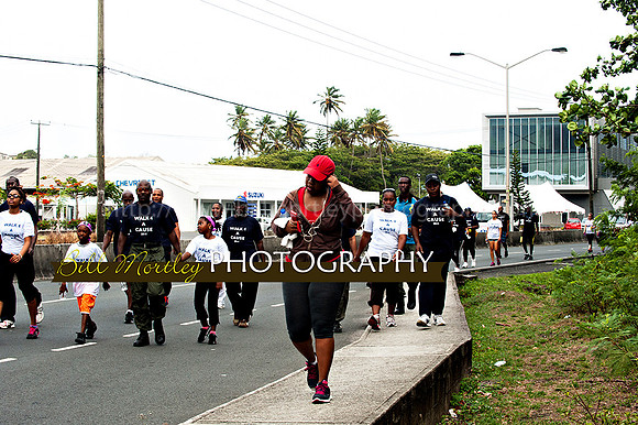 Bill Mortley_Walk 4 a Cause 2014 _June 1st, 2014,-0919