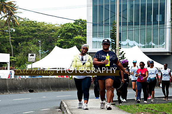 Bill Mortley_Walk 4 a Cause 2014 _June 1st, 2014,-0964